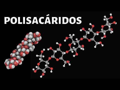 Video: En los polisacáridos, las unidades de monosacáridos están formadas por?