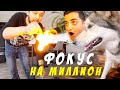 РЕАЛЬНАЯ МАГИЯ! Хаски в А*УЕ / ТОП ФОКУСЫ