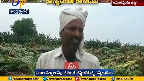Horticulture farming Bring Tears to Farmers | Anantapur Dist