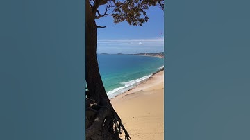 Wind Chasers Anonymous 🌈 #Paragliding #Rainbow #Beach