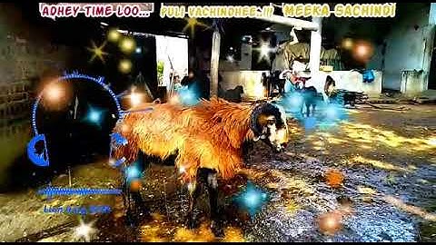 pandaga sir pandaga anthe Ugadi special  event 2020  whatsapp status video in telugu