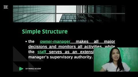 CHAPTER 11- ORGANIZATIONAL STRUCTURE AND CONTROLS