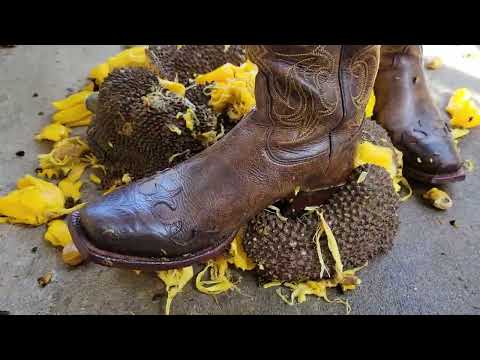 Durian Crush in Cowboy Boots