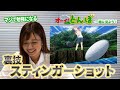 とんぼレビュー!裏技の解説!