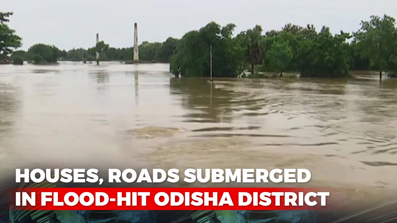 Houses Roads Submerged In Flood Hit Odisha District YouTube houses-roads-submerged-in-flood-hit-odisha-district-youtube