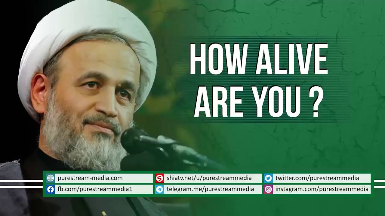 ⁣How Alive Are You | Alireza Panahian