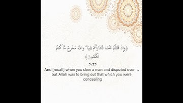 سورة البقرة من الآية 71 إلى الآية 73