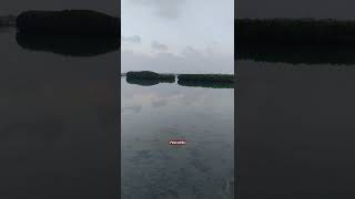 Keindahan Pulau Seribu