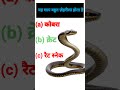 यह बहुत ज़हरीला सांप है #shortvideo #trendingshorts #viral