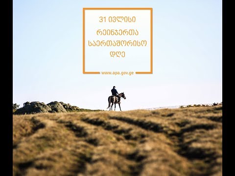 31 ივლისი რეინჯერთა საერთაშორისო დღეა