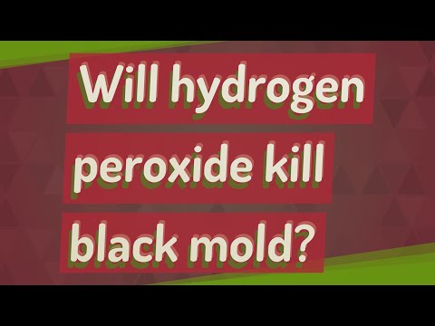 Will hydrogen peroxide kill black mold