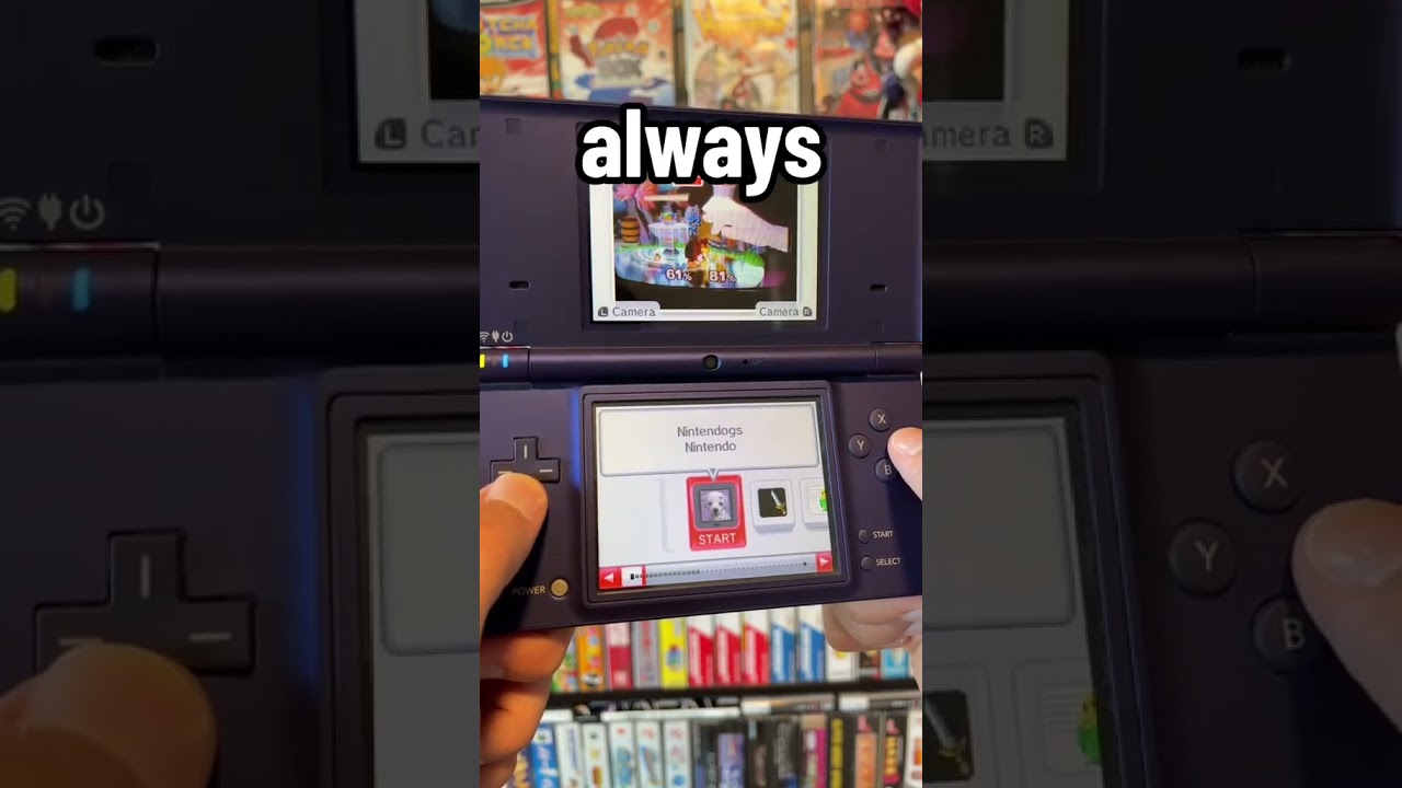 Found THIS While Exploring a RANDOM Nintendogs Game...🤯 