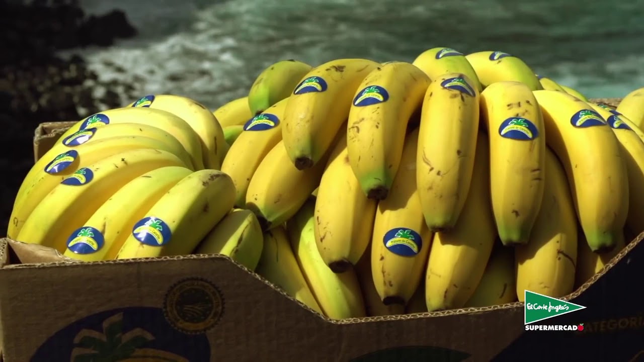 Superfrescos: Plátano de las Islas Canarias | El Corte Inglés camera iphone 8 plus apk