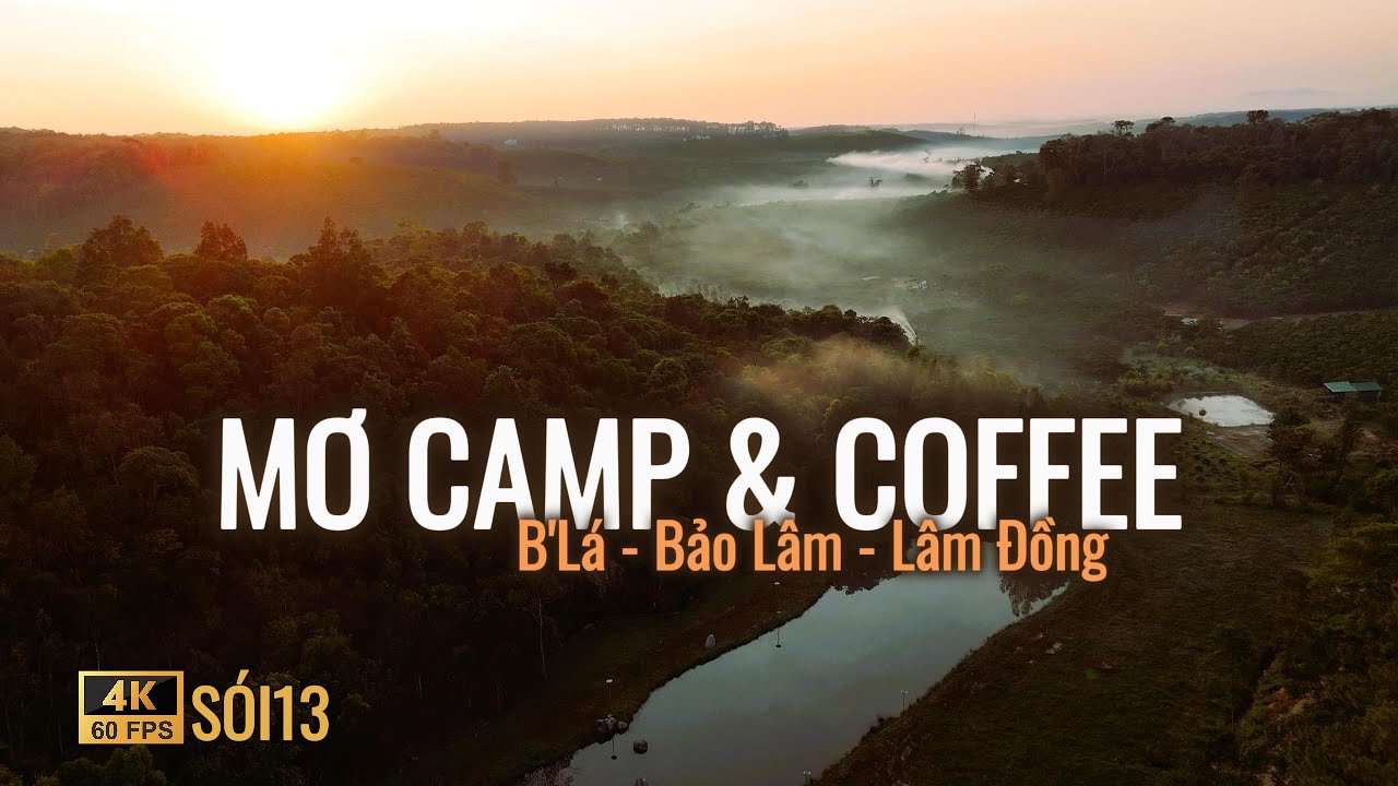 [Bảo Lâm - Lâm Đồng] MƠ CAMP & COFFEE: điểm camping còn mới keng ở B'lá, mời ae đến trải nghiệm
