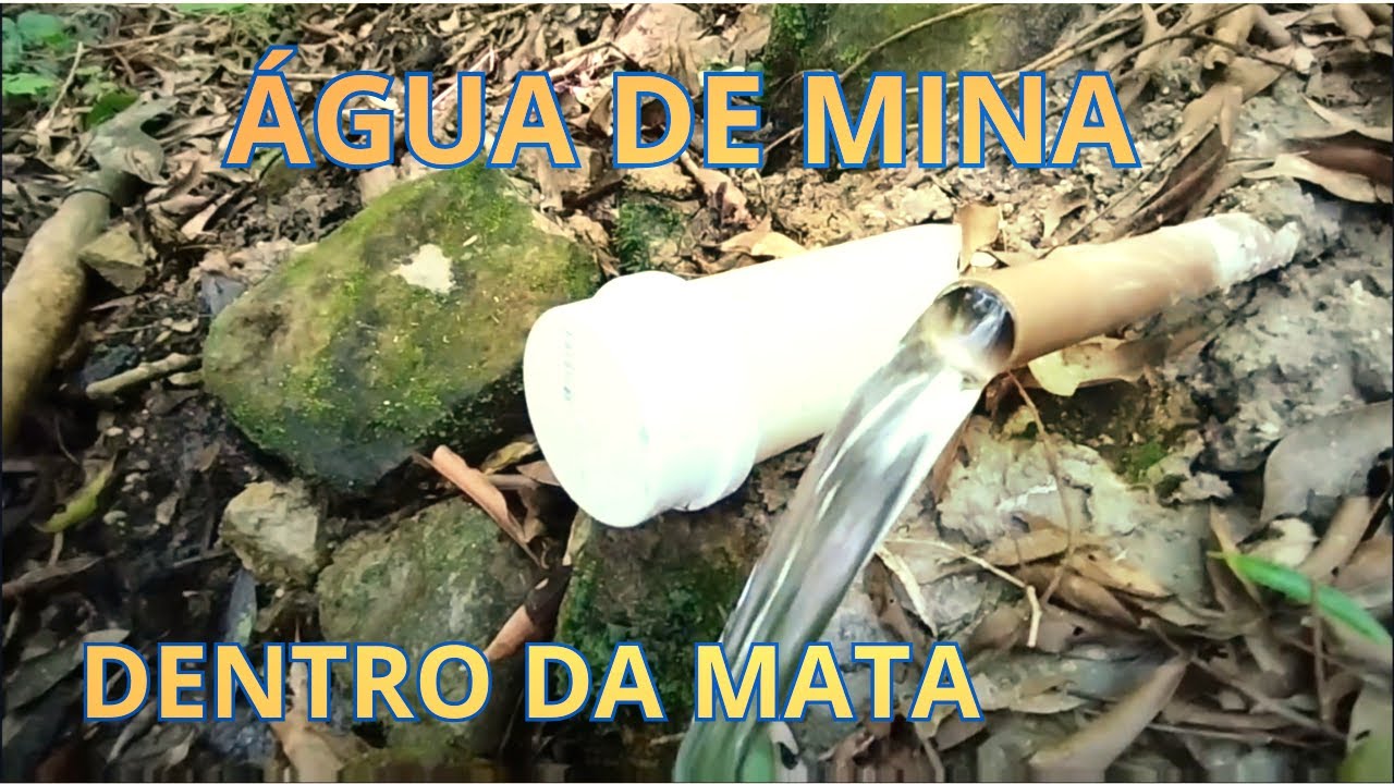 O Segredo Oculto Por Trás de Lugar Rico em Água