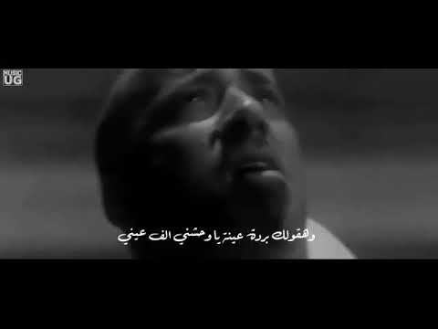 كلة كلة كوم وزعلك انت كوم واتس