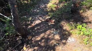 Hike Placentia August 21, 2025. Dixon Hill Trail. The Quarry. Part 1