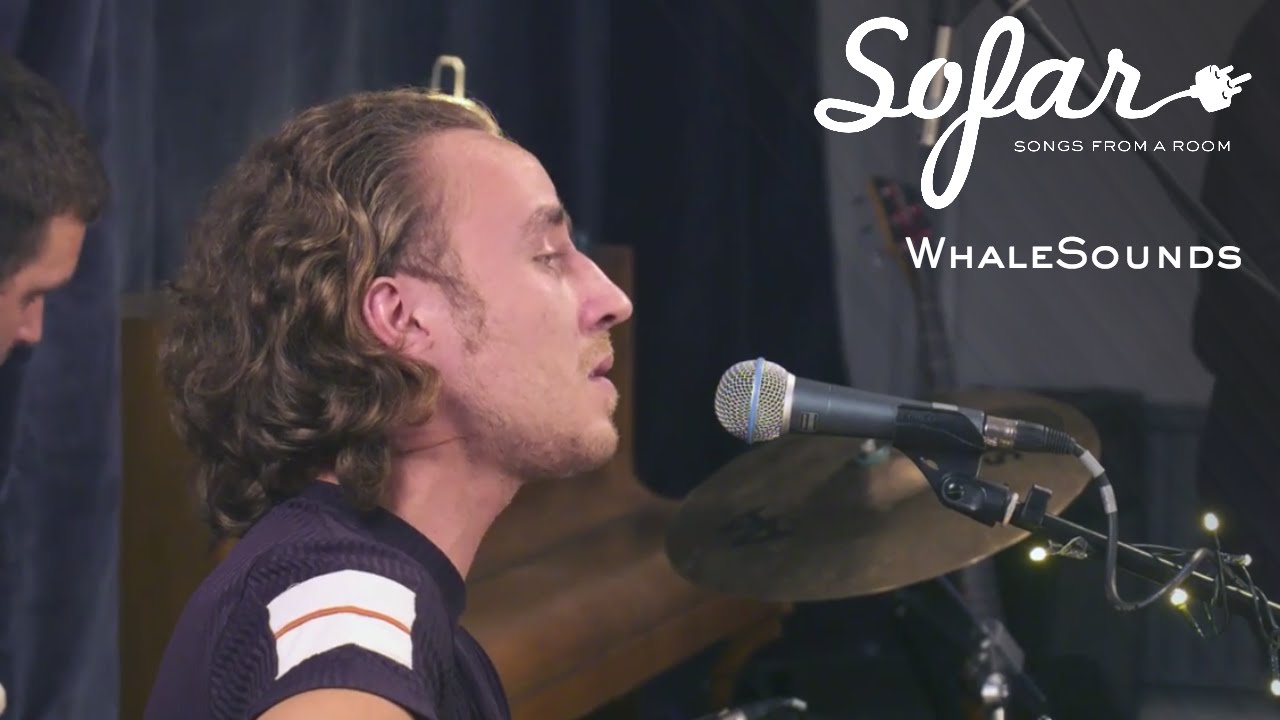 WhaleSounds - Falling Down | Sofar Vilnius