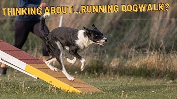 Thinking about running dogwalk?