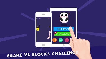 Snake vs Blocks Challenge!