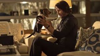 John Wick (2014) Kill Count