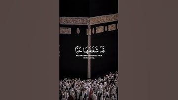 آلقران الكريم - سورة يوسف - آلاية [ 30 ] القارئ صلاح الباجي