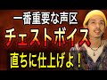 【ボイトレ】3つの器官を同時に操れ!正しい地声とは?【チェストボイス】【ボイストレーニング】【歌うま】【カラオケ】