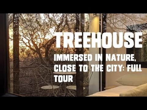 Tree house tour: incredible staycation