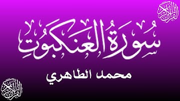من أحسن القراء المغاربة - محمد الطاهري في تلاوة خاشعة لما تيسرمن سورة العنكبوت