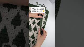 This crochet blanket has a secret 🤫