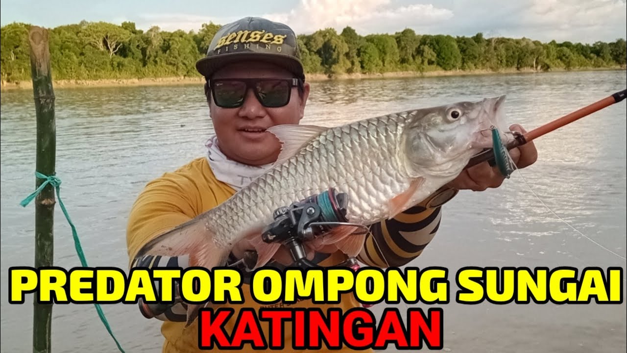 CARA MENGENAL SPOT YANG BANYAK IKAN HAMPALA NYA