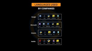 PROGRAMMING LANGUAGES USED BY COMPANIES #programminglanguage #amazon #coding #google #microsoft #ai