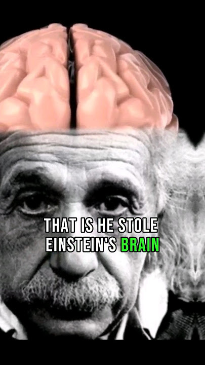 Einstein's Brain was stolen after his death... #history