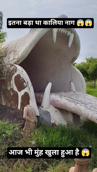 कालिया नाग और श्री कृष्ण जी 🐍😱 #vrindavandham #radheradhe #krishan #shorts