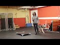 Dog Training | Sammy's follow up session after Board & Train | Solid K9 Training Dog Training Dog Training | Sammy's follow up session after Board & Train | Solid K9 Training Dog Training