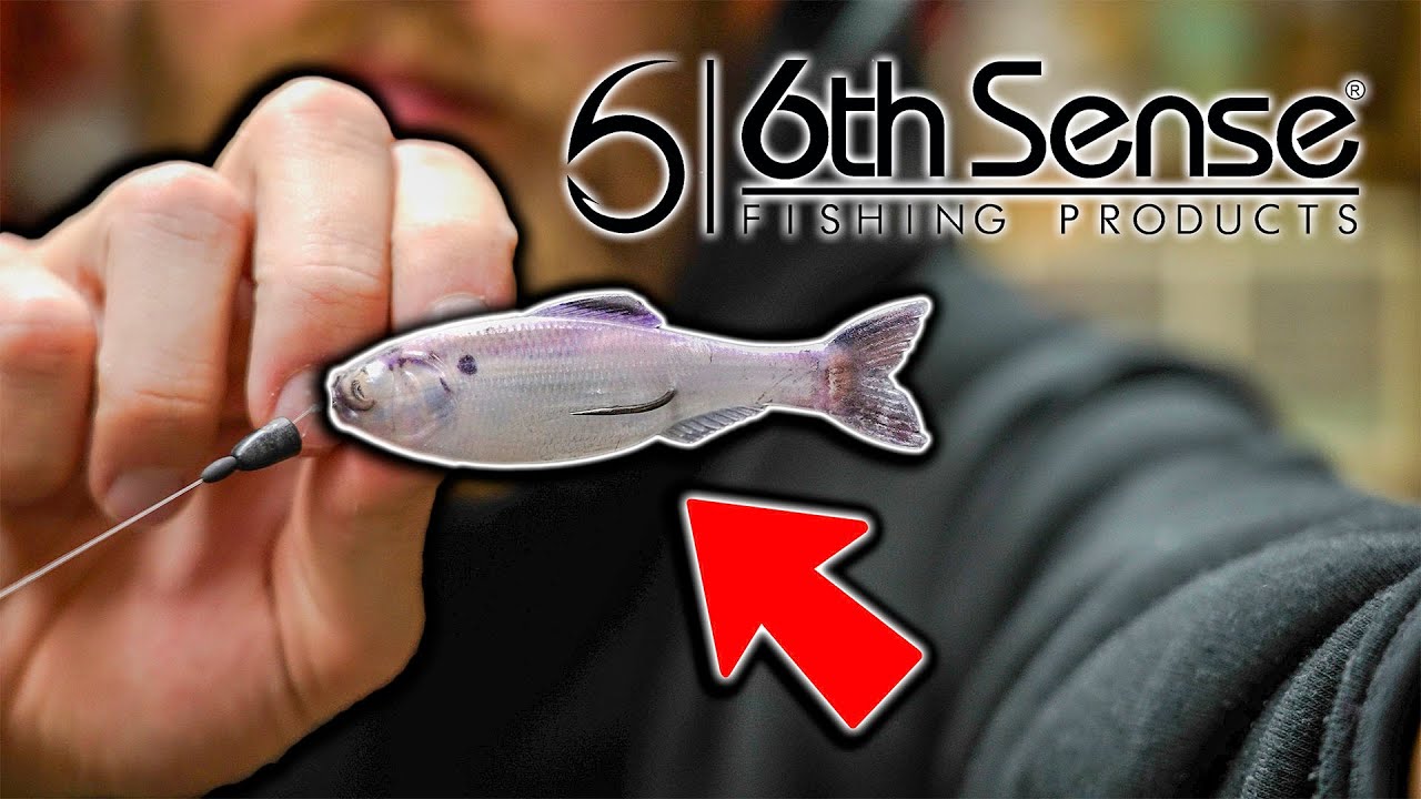 6th Sense Rigs How To Rig The 6th Sense Panorama To Catch Unlimited Flounder! - YouTube