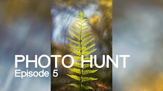 Photo Hunt Episode 5 - Natural Frames And Exploration screenshot 5