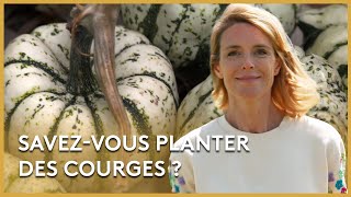 Le potager forêt du centre - Les Potagers de Julie