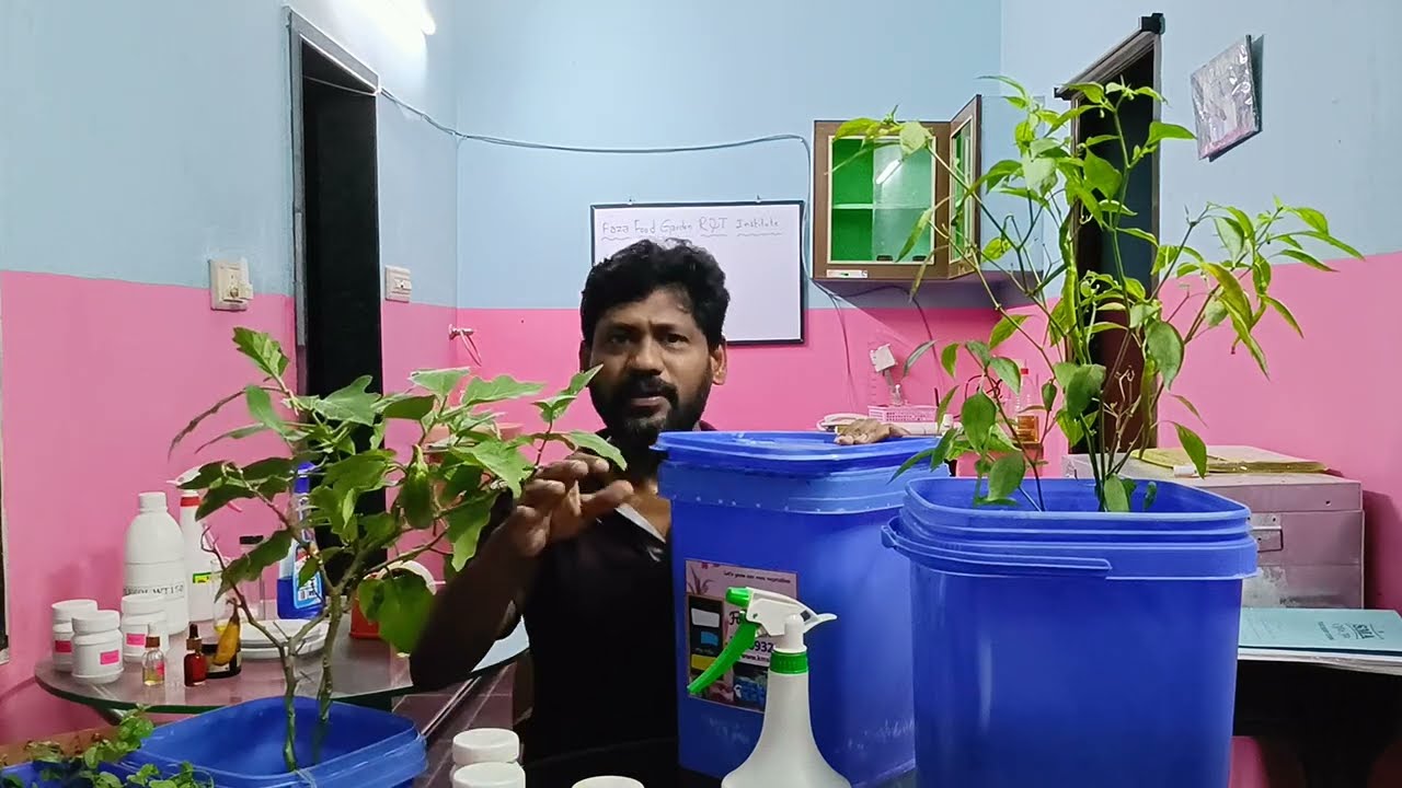 Grow Genius Kit - KMsir