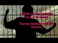 Juvenile Crime Prevention Strategies