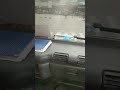 Looya Sa Taga Miame Ani Oie 