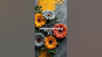 #ذي_الحجه  #اذكار #اكسبلور #تيك_توك #تاج_الذكر #لايك #المصحف #ترند