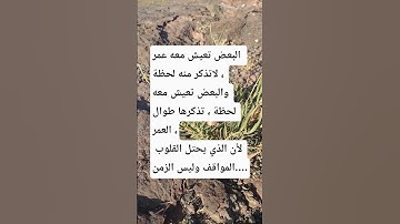 #أجمل منظر #سورة_الإخلاص #ikhlas #المصحف