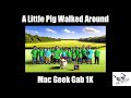 A little pig walked around  mac geek gab 1k