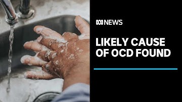 Researchers find likely cause of obsessive-compulsive disorder | ABC News