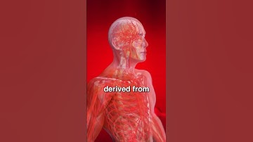 What Are Peptides? #peptides #protein #biology