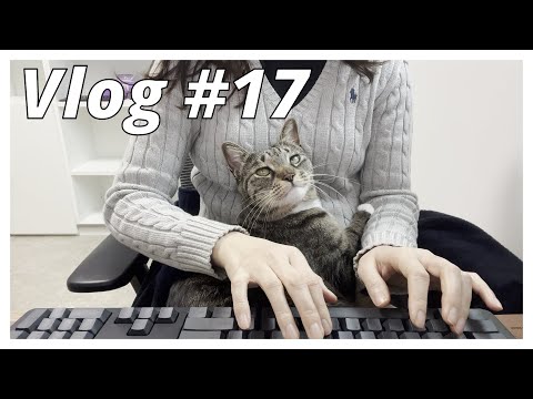 [Vlog #17] 5월에 올리는 3월 영상 | 팀 이동한 직장인 브이로그 | 영어 공부 | 새벽 수영 | 무접점 키보드 | 불가리 비제로원