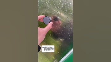 It is so loud..🤭🕺 #vibes #speaker #song