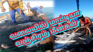 💯🐟💥முதல் முறையாக வலையில் வஞ்சிரம் மீன் பிடிக்கும் வீடியோ Qatar tamil menavan(QTM)