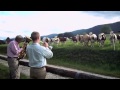 Capture de la vidéo Jazz For Cows